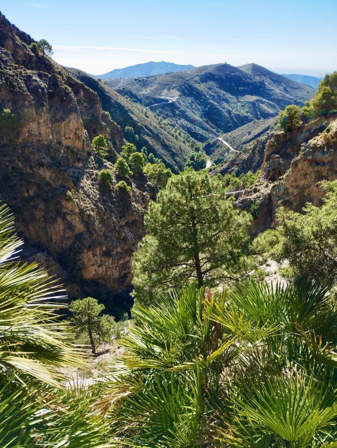 Casa Jardin Natural Sedella Bagian luar foto