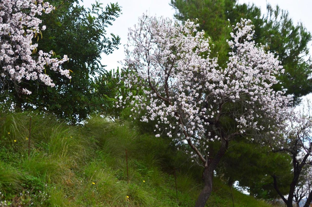 Casa Jardin Natural Sedella Bagian luar foto