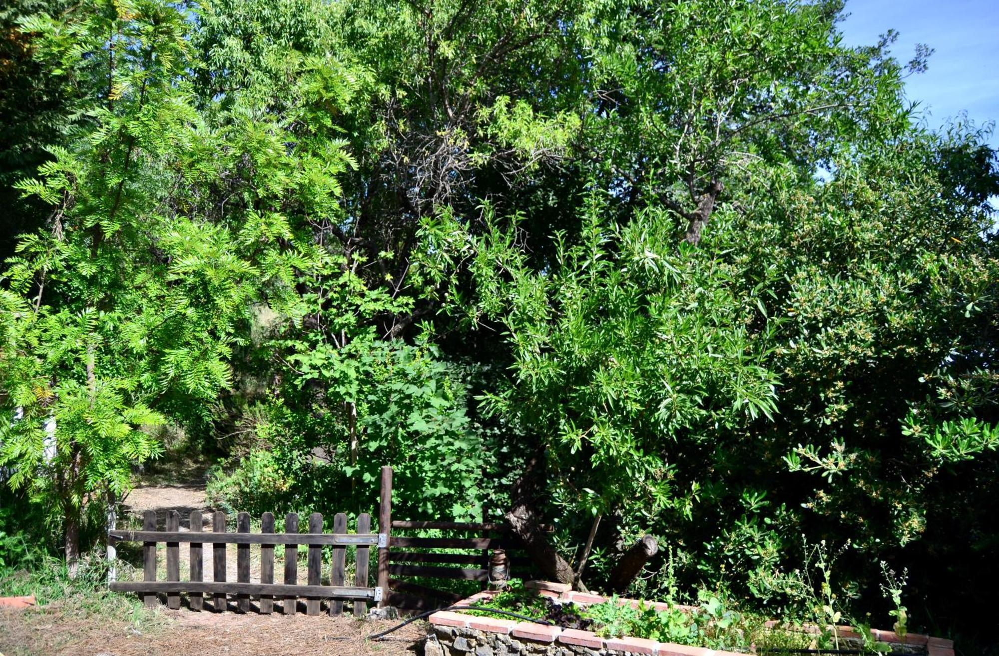 Casa Jardin Natural Sedella Bagian luar foto